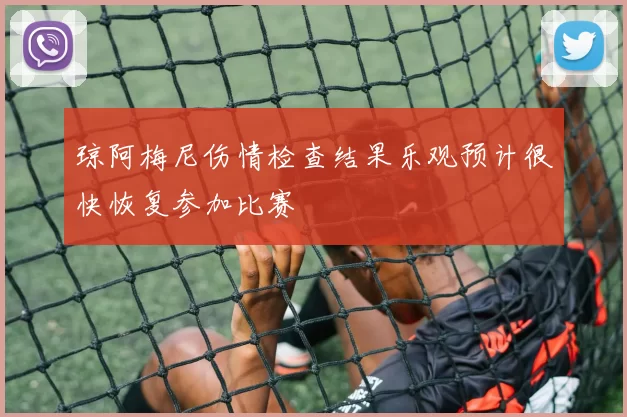 琼阿梅尼伤情检查结果乐观预计很快恢复参加比赛